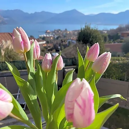 Frühstückspension Panorama